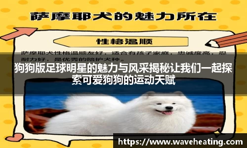 mk体育官方网站